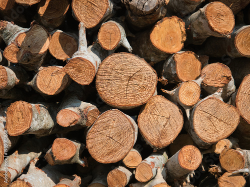 Firewood stacked in a woodpile firewood background.