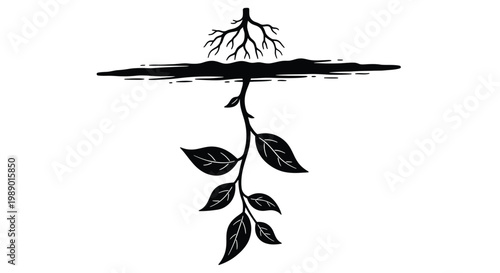A black silhouette of a plant with visible roots and a submerged stem high quality professional