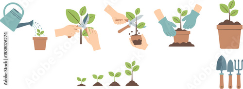 Plant care vector illustrations showing watering, pruning, planting, growth stages, and gardening tools