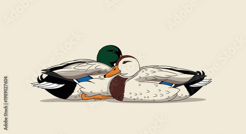 Male Mallard Duck Side Profile.