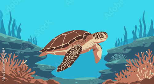 Sea Turtle Swimming Underwater Ocean.