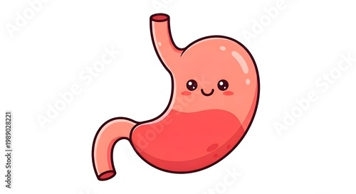 Cute cartoon stomach illustration with a smiling face, representing digestive health and wellness.