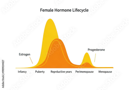 A graph illustrating the female hormone lifecycle, showing the levels of estrogen and progesterone throughout different life stages from infancy to menopause isolated on transparent background