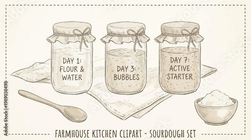Hand drawn sourdough starter jars set. Rustic sketch style fermentation illustration with labels. Minimal neutral kitchen clipart for baking blogs, recipe cards, packaging, farmhouse decor. Vector