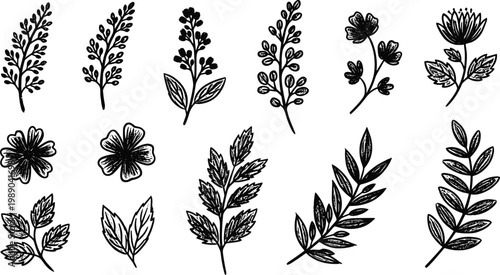 Intricate Hand Drawn Botanical Illustration Set with Detailed Floral Sprays, Wildflower Silhouettes, and Organic Leaf Sketches for Boutique Branding and Wedding Stationery