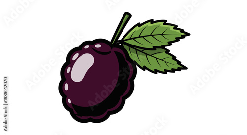 Purple Blackberry Fruit Closeup Illustration.