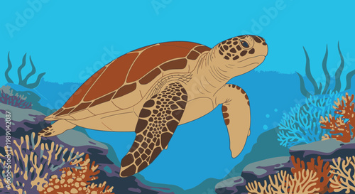 Sea Turtle Swimming Underwater Ocean 1.