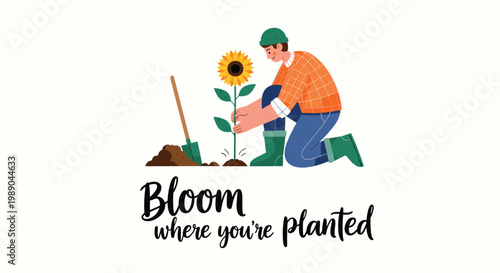 Motivational illustration of a man planting a sunflower with the quote Bloom where you are planted below.