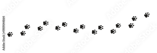Dog or cat Paw vector foot trail print . vector illustration