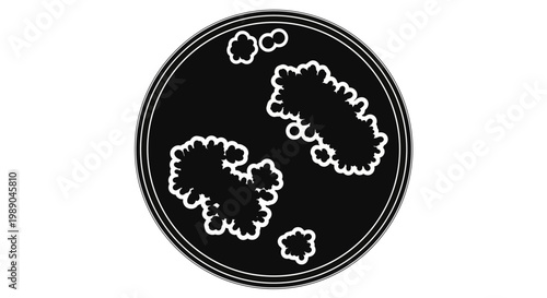 Microscopic Bacteria Culture in Petri Dish, Science and Research