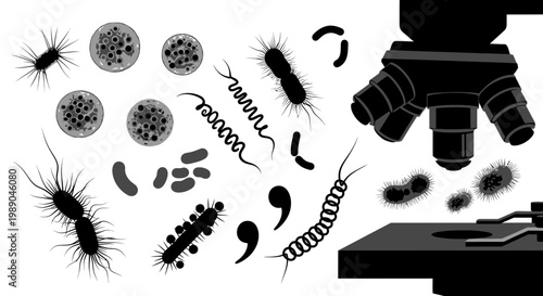 Microscope Viewing Bacteria and Microorganisms