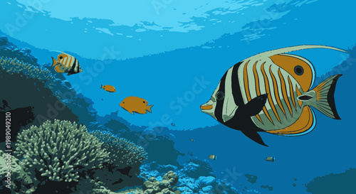 Orange and black fish swimming underwater.