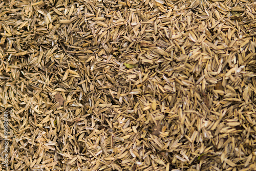 Quadro su tela Piles of rice husks or the outer skin of rice grains scattered on the ground
