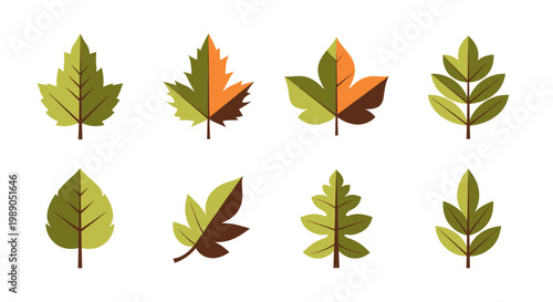 Bilde på lerret Collection of autumn leaves in various shapes and colors