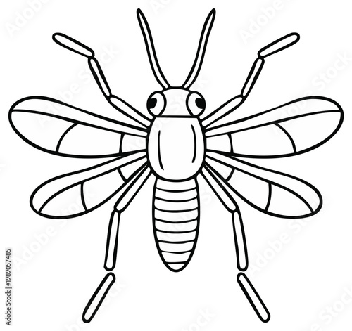 Stylized Insect Drawing with Wings, Antennae, and Six Legs