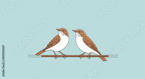 Two small brown and white birds.