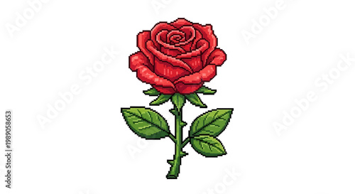 A Single Red Rose with Green Leaves and Thorns.