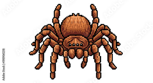 Detailed Illustration of a Brown Tarantula Spider.