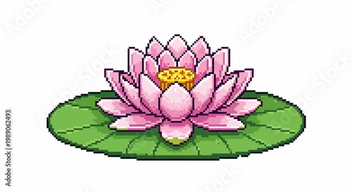 Beautiful Pink Lotus Flower Blooming on Green Lily Pad.