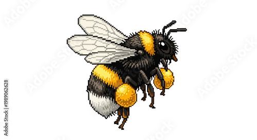 Detailed Illustration of a Bumblebee Carrying Pollen Sacs.