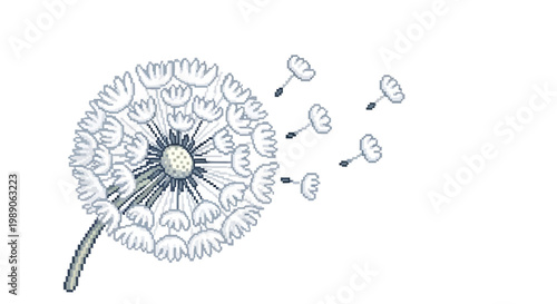 Dandelion seeds blowing in the wind illustration.