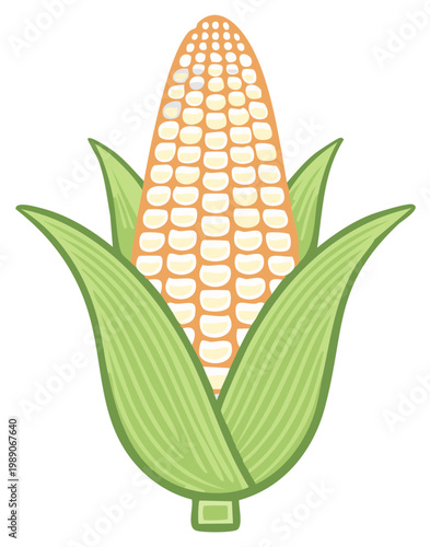 Cartoon corn illustration of an ear with kernels and green leaves. Harvest or farm concept.