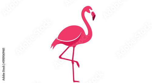 Pink Flamingo Bird Standing Alone 1.