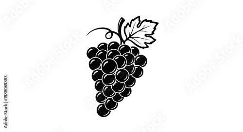 A black and white illustration of a ripe bunch of grapes with a single leaf