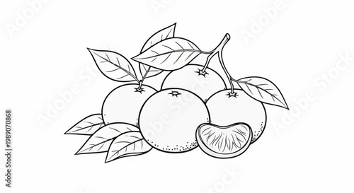 A black and white line drawing of a cluster of tangerines with leaves and a segment