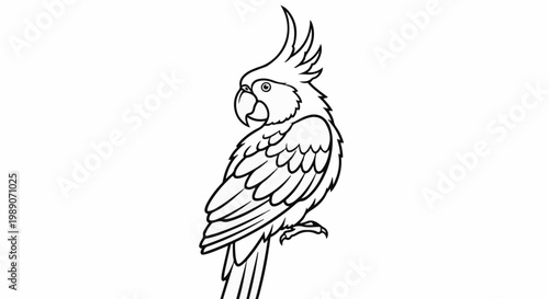 A black and white line drawing of a cockatoo with a distinctive crest