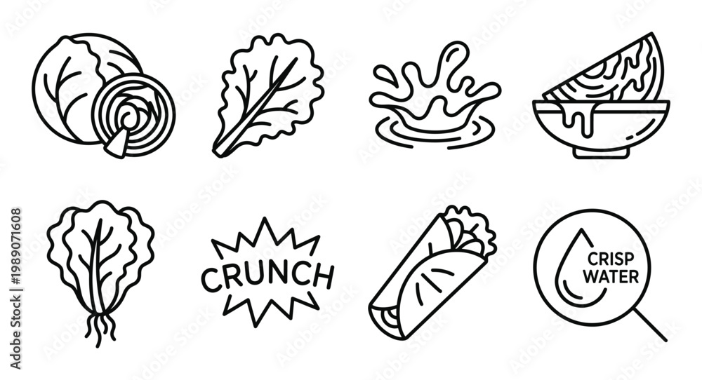 Fototapeta premium Set of salad and vegetable icons showing cabbage, lettuce, water splash, and wrap.