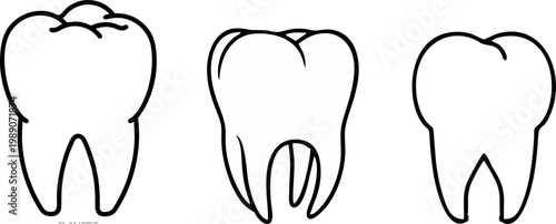 Tooth Outline Dental Care Medical Illustration