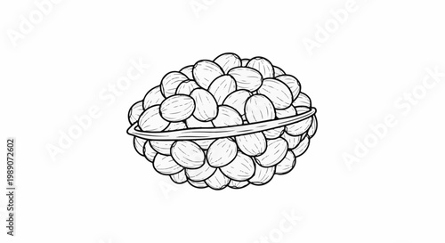 A circular arrangement of many oval shaped objects bound together