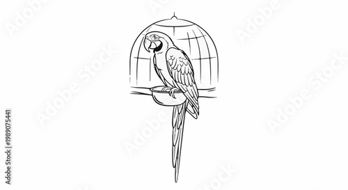 A line drawing of a colorful parrot perched inside a cage