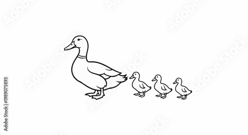 A mother duck leads three ducklings in a line, simple illustration