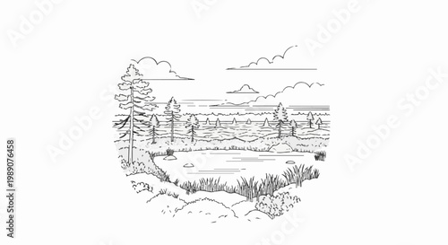 A serene wetland scene with pine trees, water, grass, and clouds in black and white
