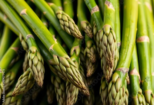 Fresh green asparagus spears, tightly bundled, vegetarian, nutrient