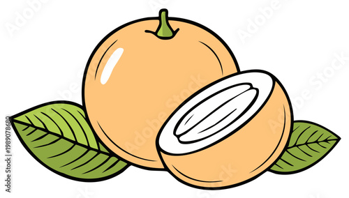 Sweet ripe loquat fruit whole and halved with fresh green leaves cartoon illustration