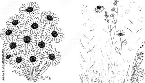 Hand drawn chamomile flowers and wild meadow botanical illustration set with blooming daisies grass and herbs in vintage line art style
