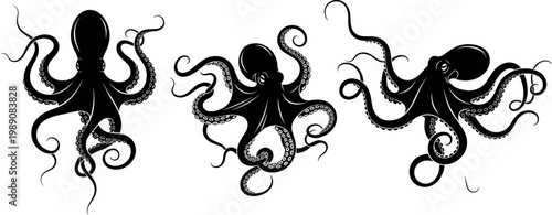 Collection of three black silhouette octopus vectors with curly tentacles isolated on a white background for marine life graphic design.