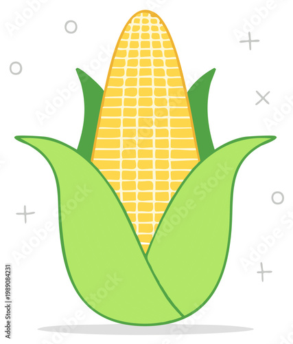 Fresh Corn Cob with Green Husk Vivid Yellow Kernels Healthy Organic Vegetable Illustration