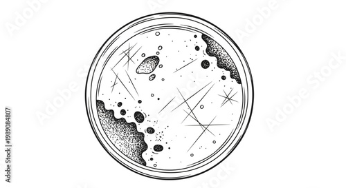 Hand-drawn petri dish with bacterial colonies and scratches