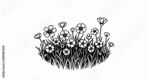 A simple black and white illustration of various wildflowers growing in the grass