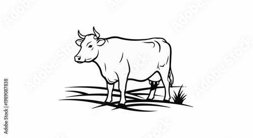 A simple black and white line drawing of a cow standing on grass