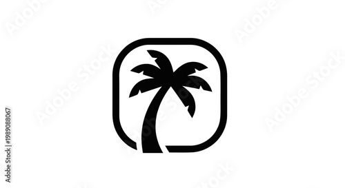 tropical palm tree