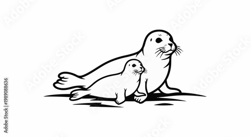 A simplified black and white illustration of two seals, one adult and one pup