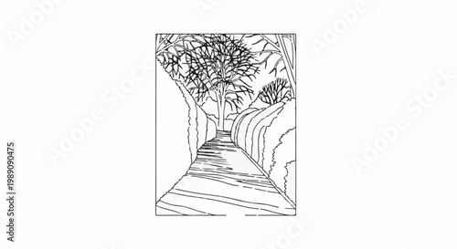 A winding path leads through a wooded area with bare trees