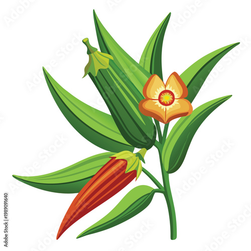 okra flower vector on white