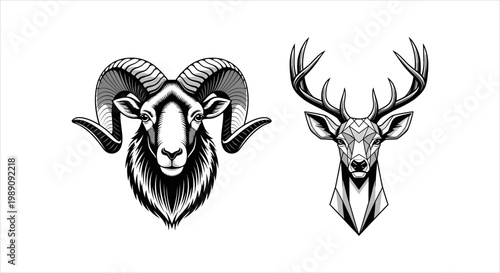 Ram and Deer Heads Illustration - Symbol of Strength and Nature