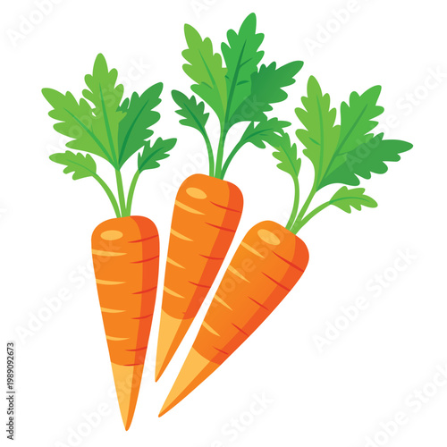 vector illustration of carrot tops 
